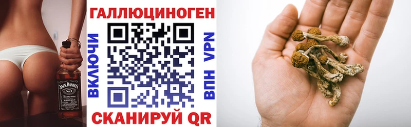 Галлюциногенные грибы прущие грибы  Шадринск 
