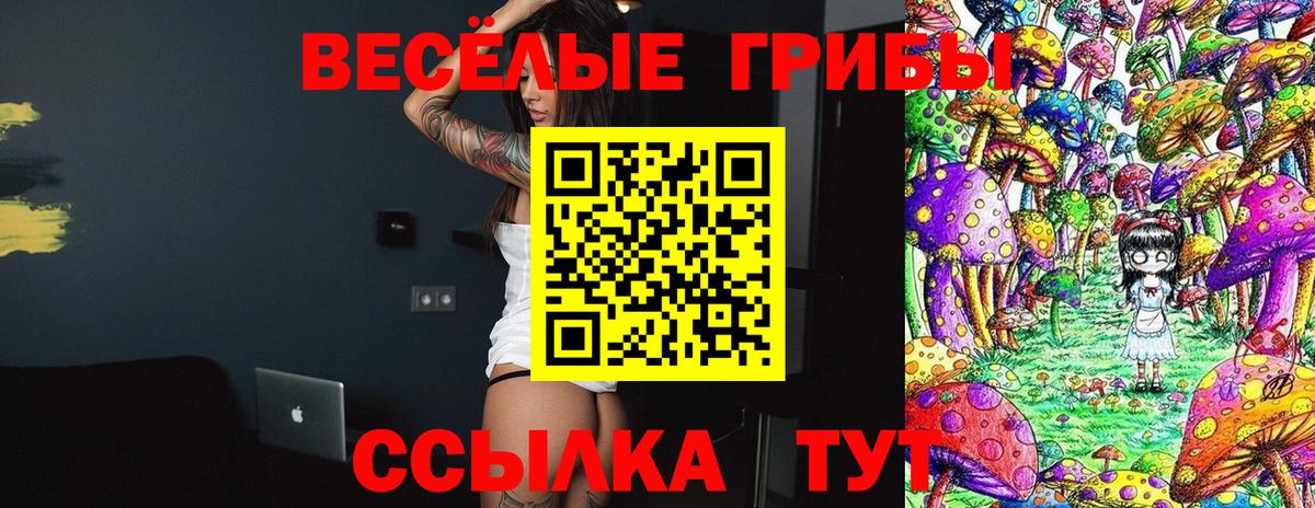 Псилоцибиновые грибы MAGIC MUSHROOMS  Псилоцибиновые грибы Magic Shrooms  Шадринск  Вход с VPN 